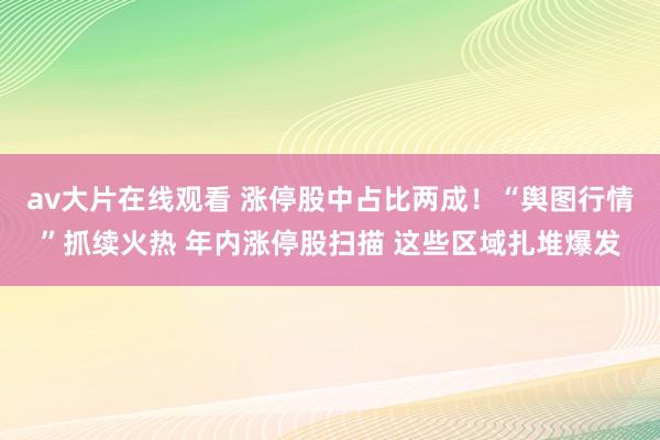 av大片在线观看 涨停股中占比两成！“舆图行情”抓续火热 年内涨停股扫描 这些区域扎堆爆发